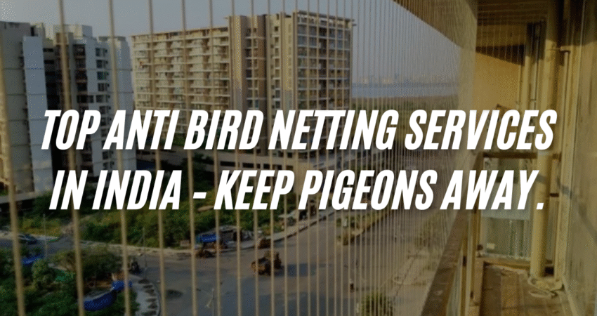 Bird Netting Service