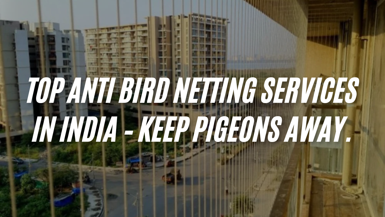 Bird Netting Service