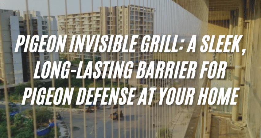 Pigeon Invisible Grill