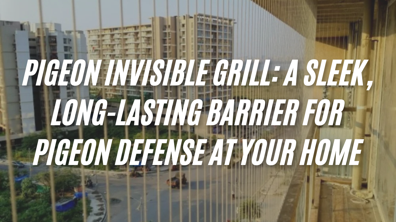 Pigeon Invisible Grill