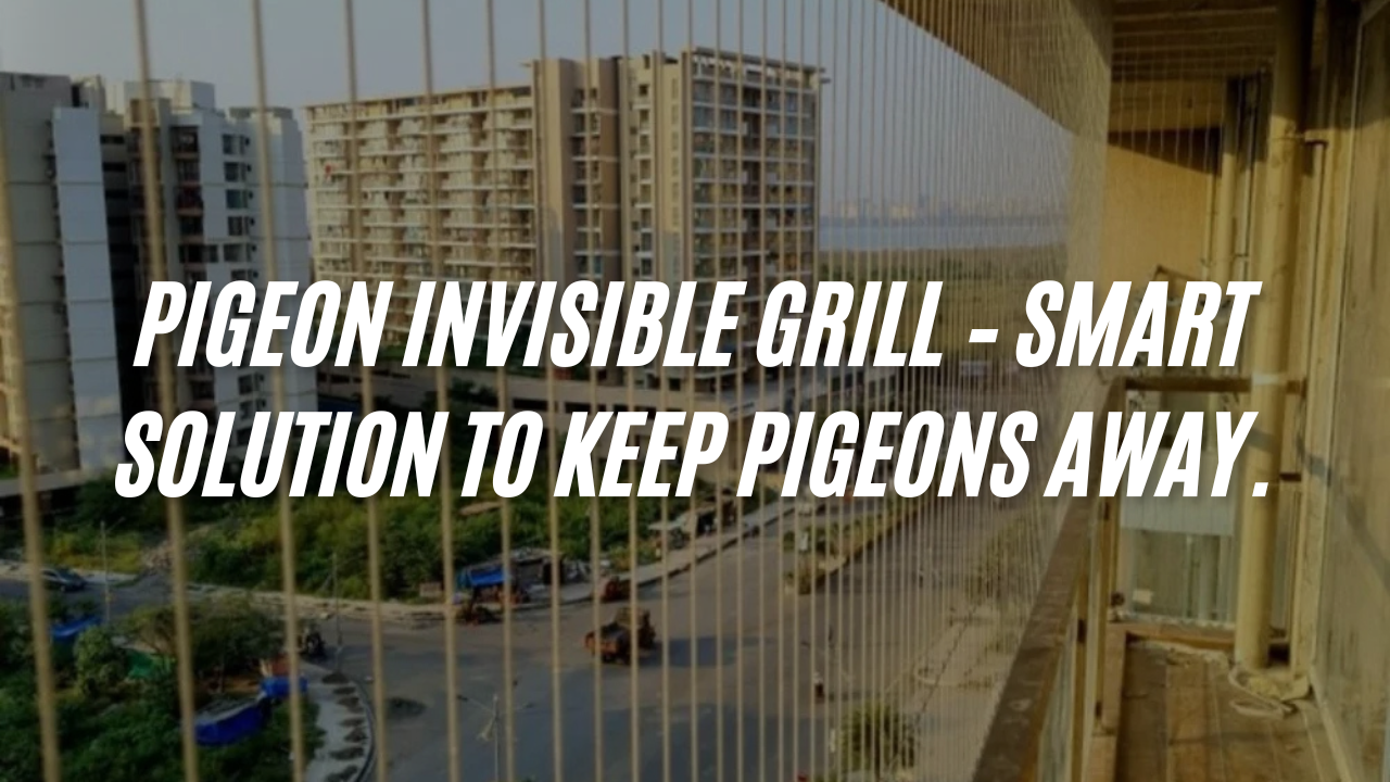 Pigeon Invisible Grill